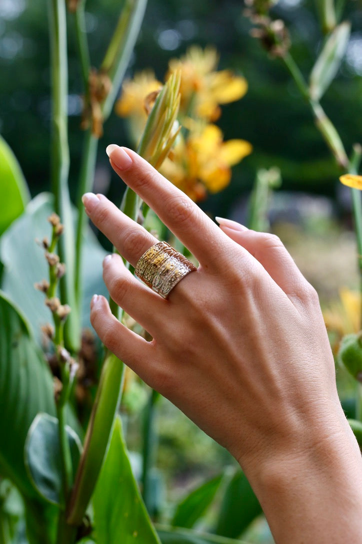 Armadillo Shell Ring Gogo Inc
