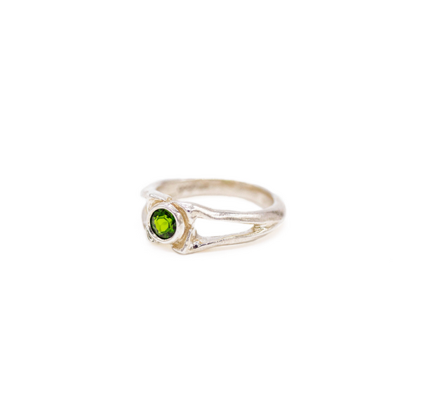 Alligator Spinous Process Ring