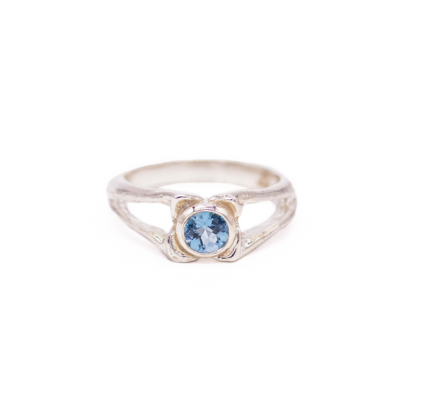 Alligator Spinous Process Ring