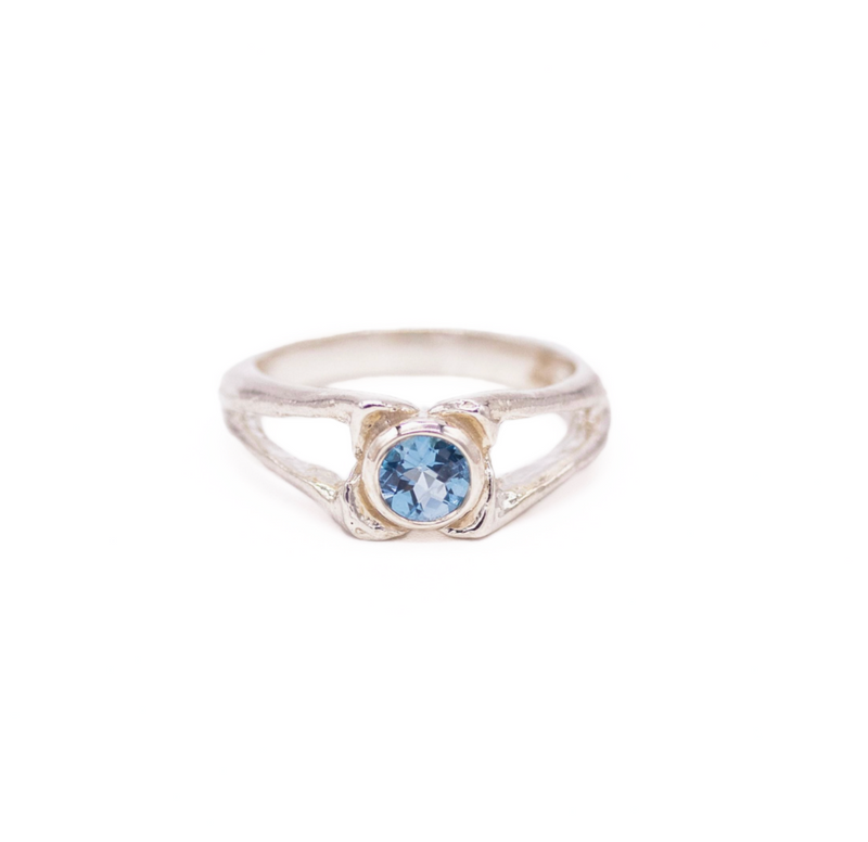 Alligator Spinous Process Ring
