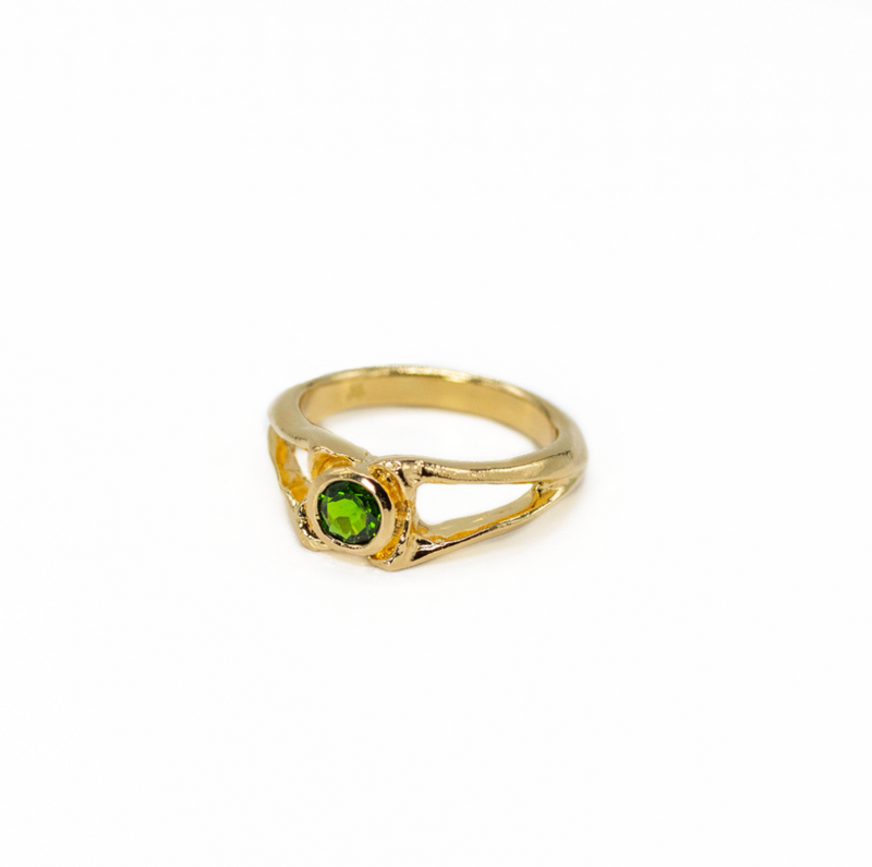 Alligator Spinous Process Ring