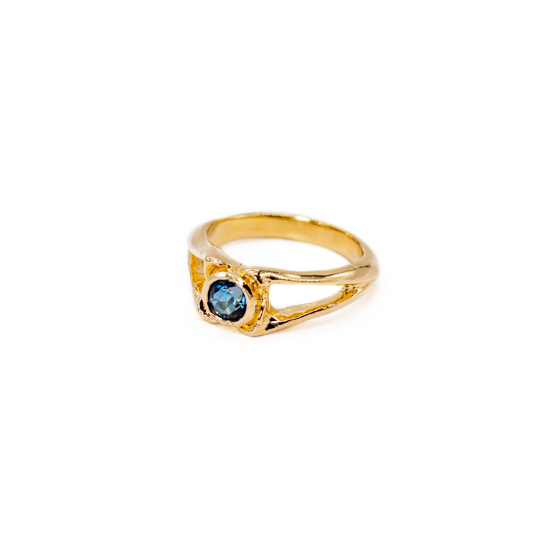 Alligator Spinous Process Ring