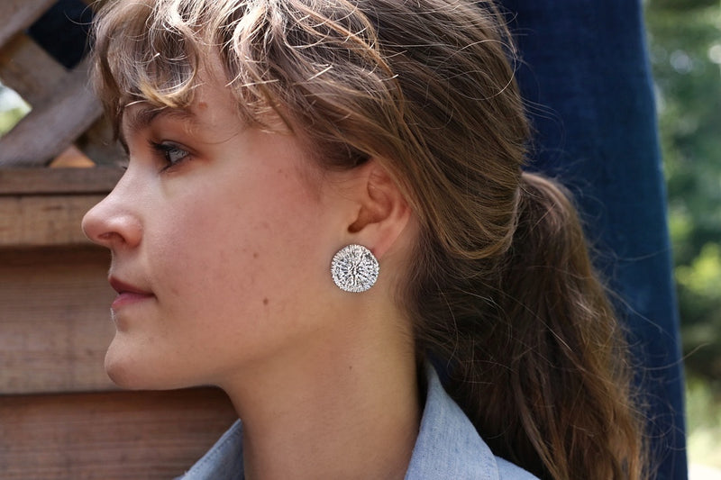 Dolphin Disc Earrings