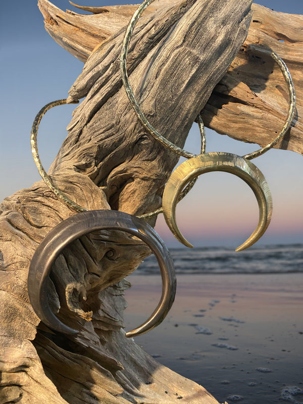 Boar Tusk Pendants on Driftwood at Cumberland Island