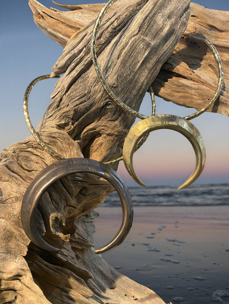 Boar Tusk Pendants on Driftwood at Cumberland Island