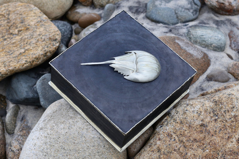 Square Horseshoe Crab Metal Keepsake Box by Gogo Jewelry