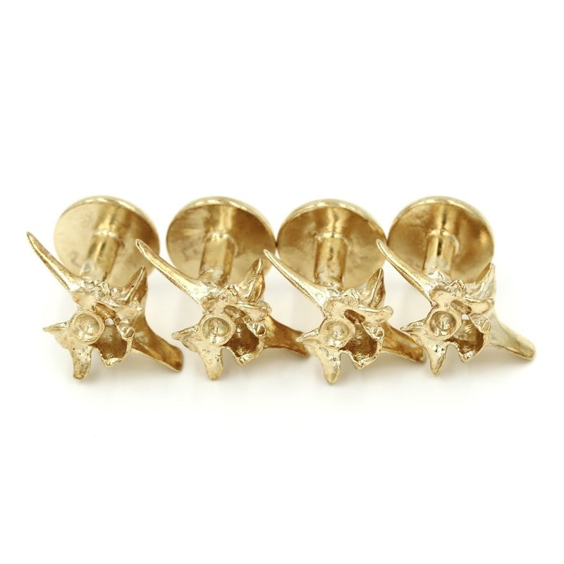 14k gold rattlesnake vertebrae shirt studs quarter view