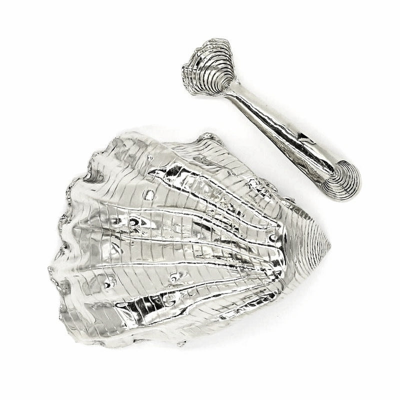 alpaca oyster shell salt and pepper well and spoon on white background