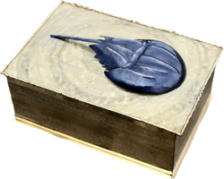 Horseshoe Crab Keepsake Box in Gold by Gogo Jewelry