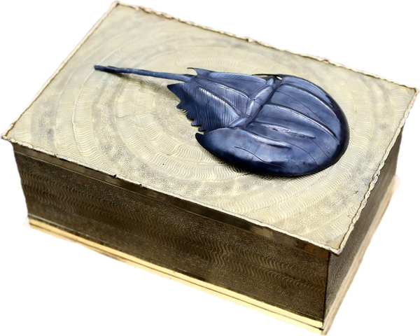 Horseshoe Crab Keepsake Box in Gold by Gogo Jewelry