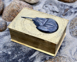 Rectangle Horseshoe Crab Box in Gold on beach rocks by Gogo Jewelry