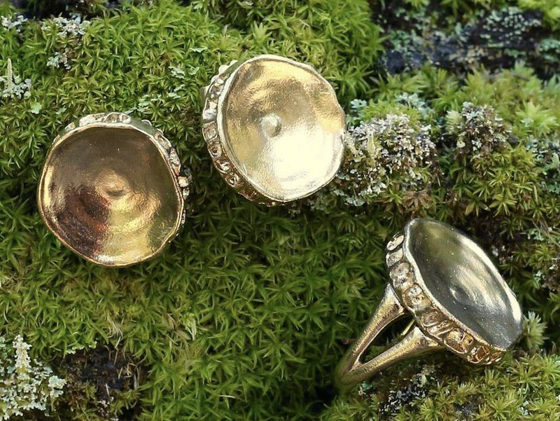 shark vertebrae rings sterling silver gold vermeil on moss background