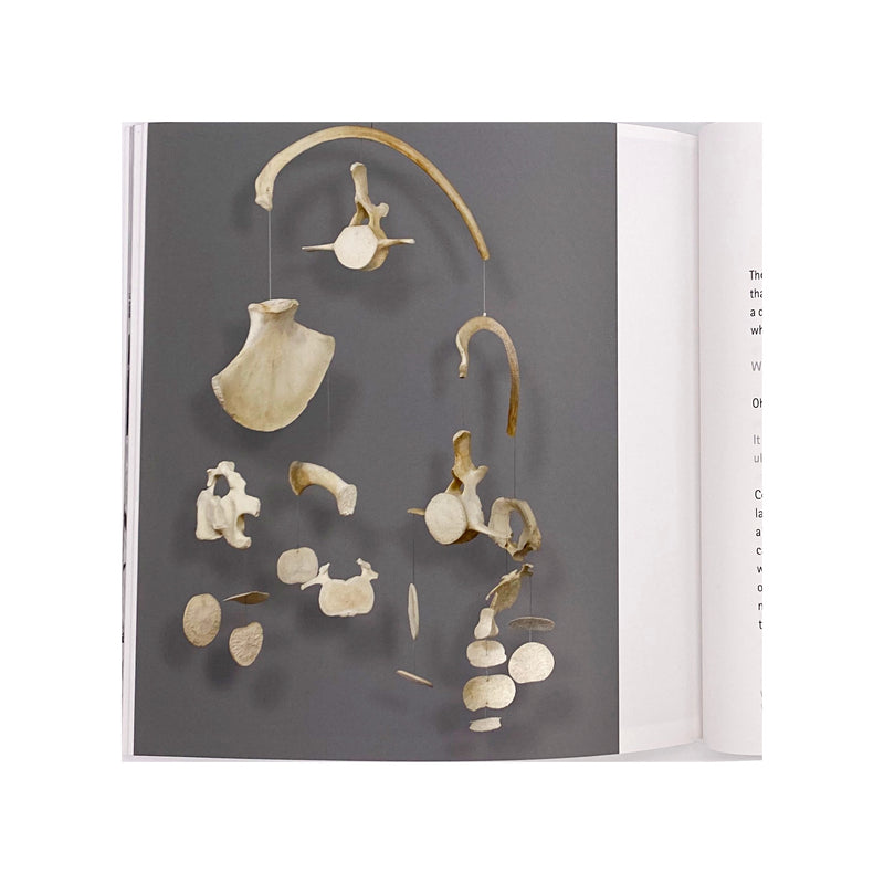 Inside View of Nature Transformed Book with Bone Mobile Art Installation 