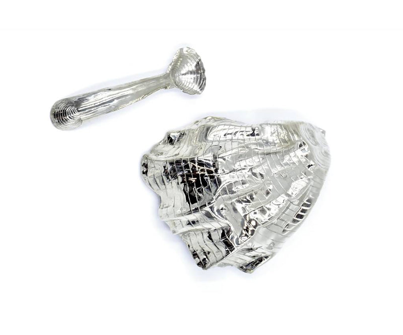 alpaca oyster shell salt and pepper well bottom view on white background