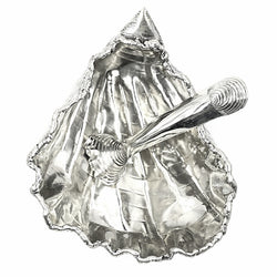 alpaca oyster shell salt and pepper well top view on white background