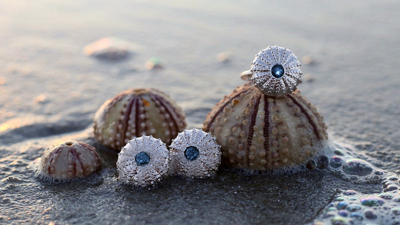 sterling silver sea urchin rings on beach with natural sea urchins