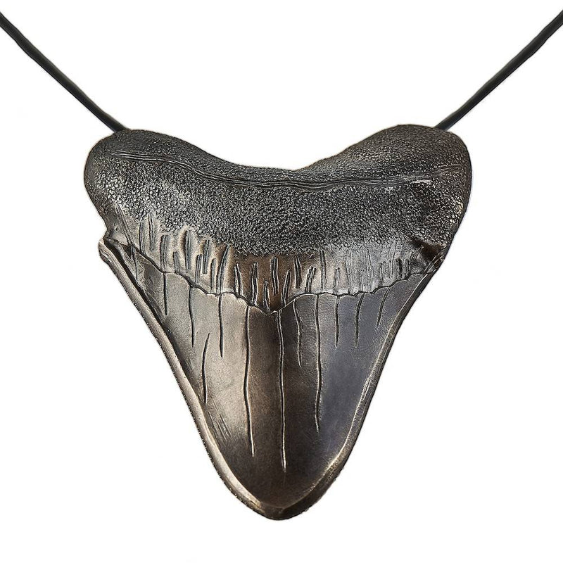 Megalodan Tooth Pendant Enhancer alpaca on leather strand