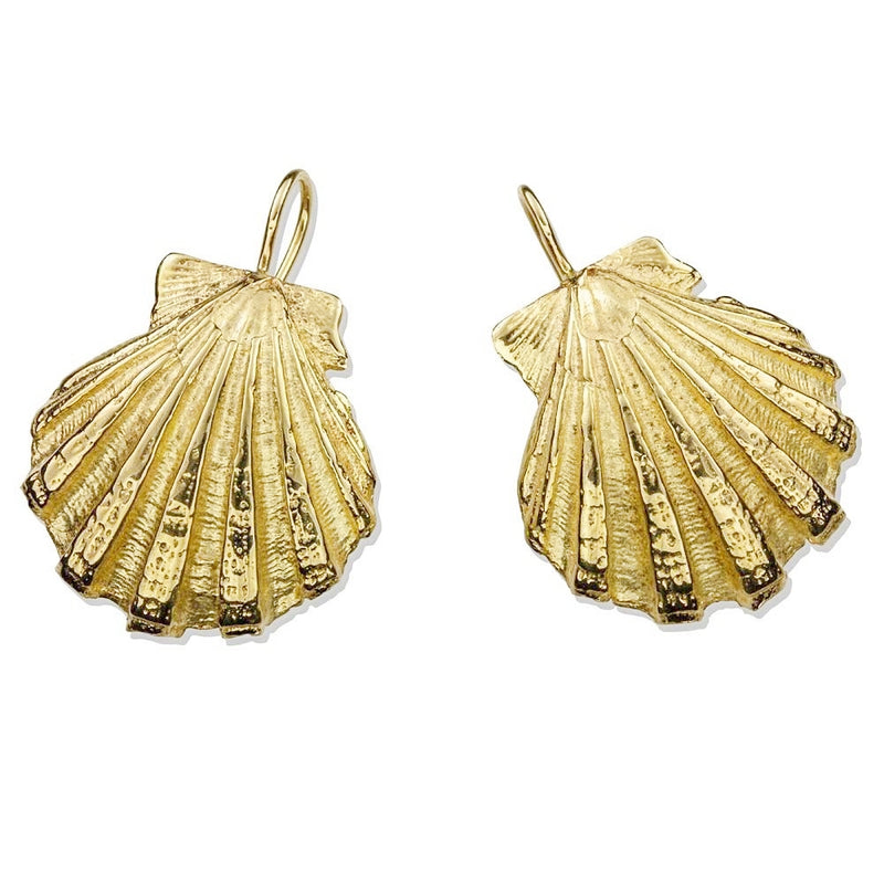 14k gold scallop shell earrings with wire front view